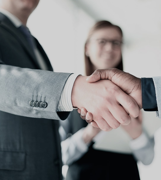 Derecho Civil y Comercial, Abogada Bertolli